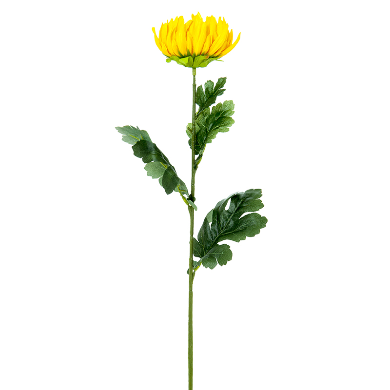 Dekoratyvinė gėlė Chrizantemos balta/oranžinė (12) h 69 cm SAVEX