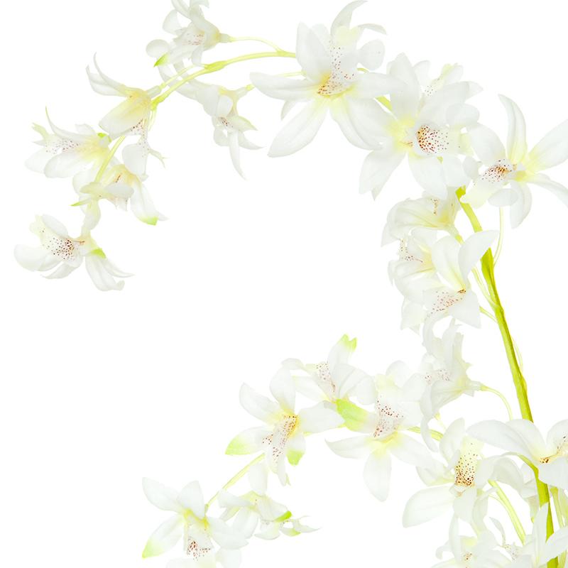 Dekoratyvinė gėlė Orchidėja smulkiažiedė balta (12) h 78 cm SAVEX