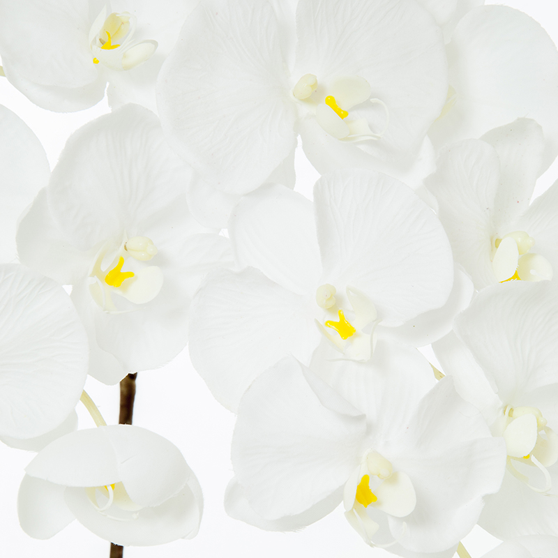 Dekoratyvinė gėlė Orchidėja vazonėlyje balta/rausva (1) h 67 cm SAVEX