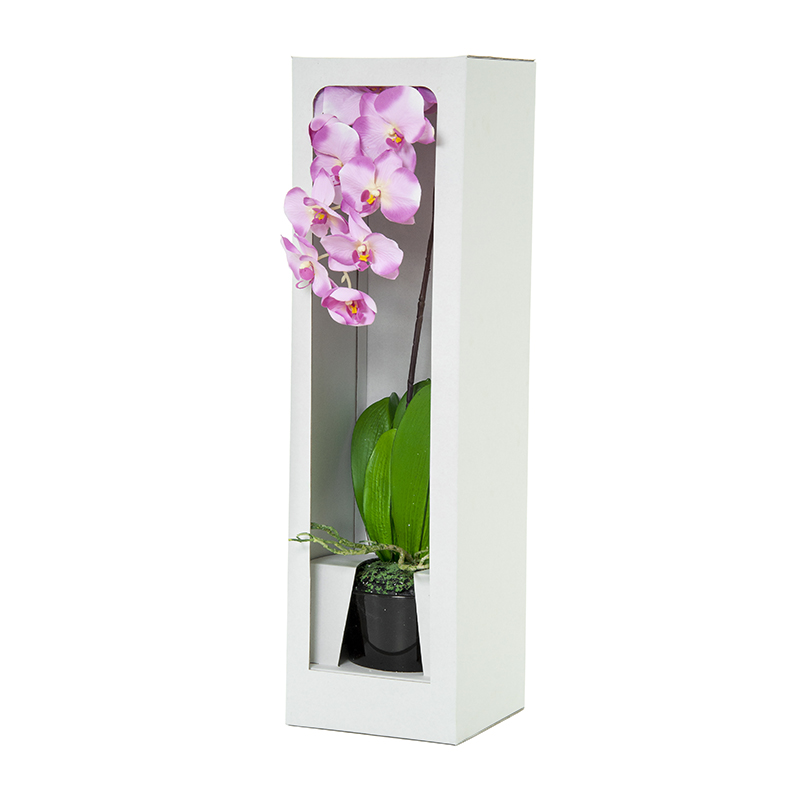 Dekoratyvinė gėlė Orchidėja vazonėlyje balta/rausva (1) h 67 cm SAVEX