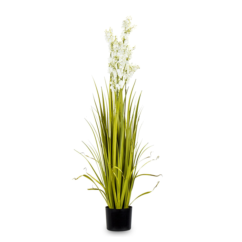 Dekoratyvinė gėlė vazonėlyje Juka žydinti120x45x45 cm 137195