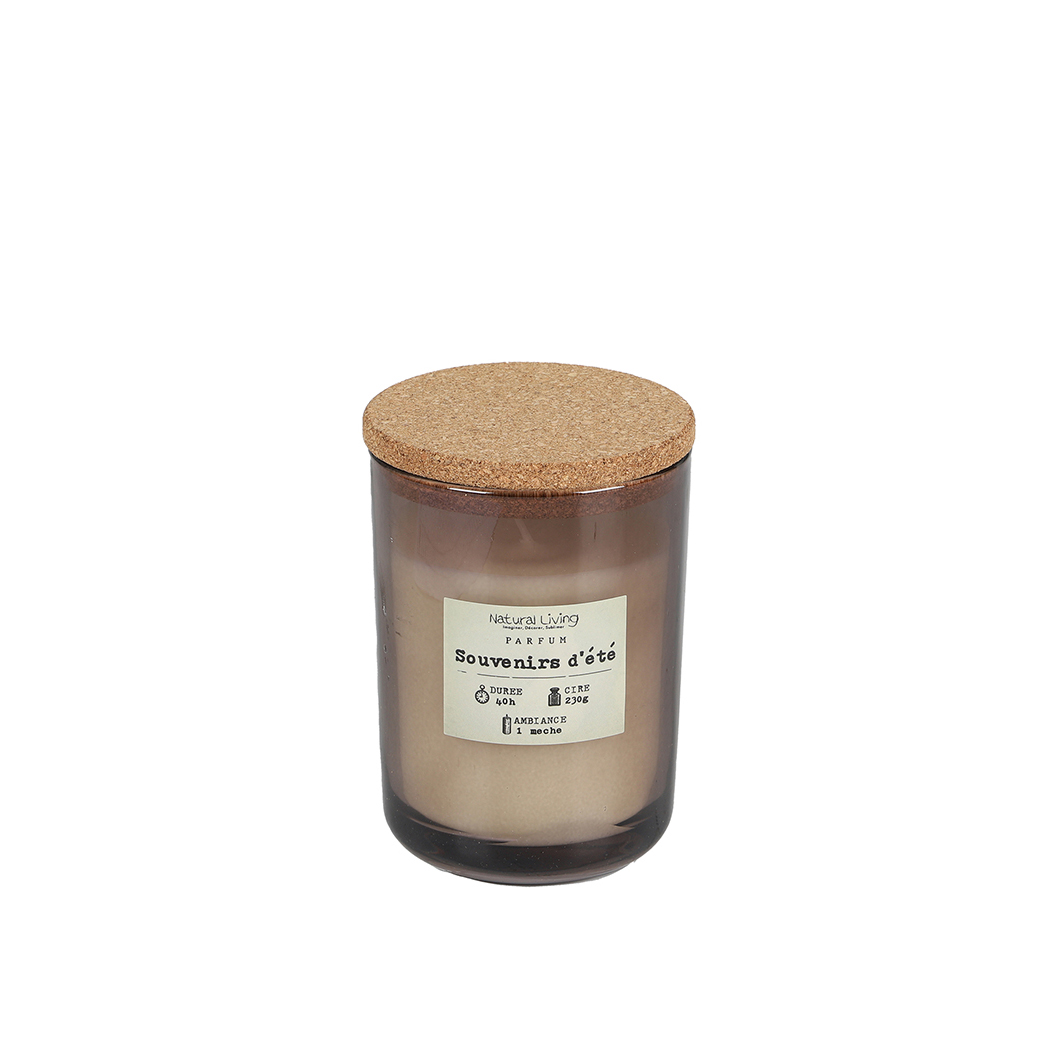 Žvakė stikliniame indelyje (mix) D8xH11 cm Natural Living 30509