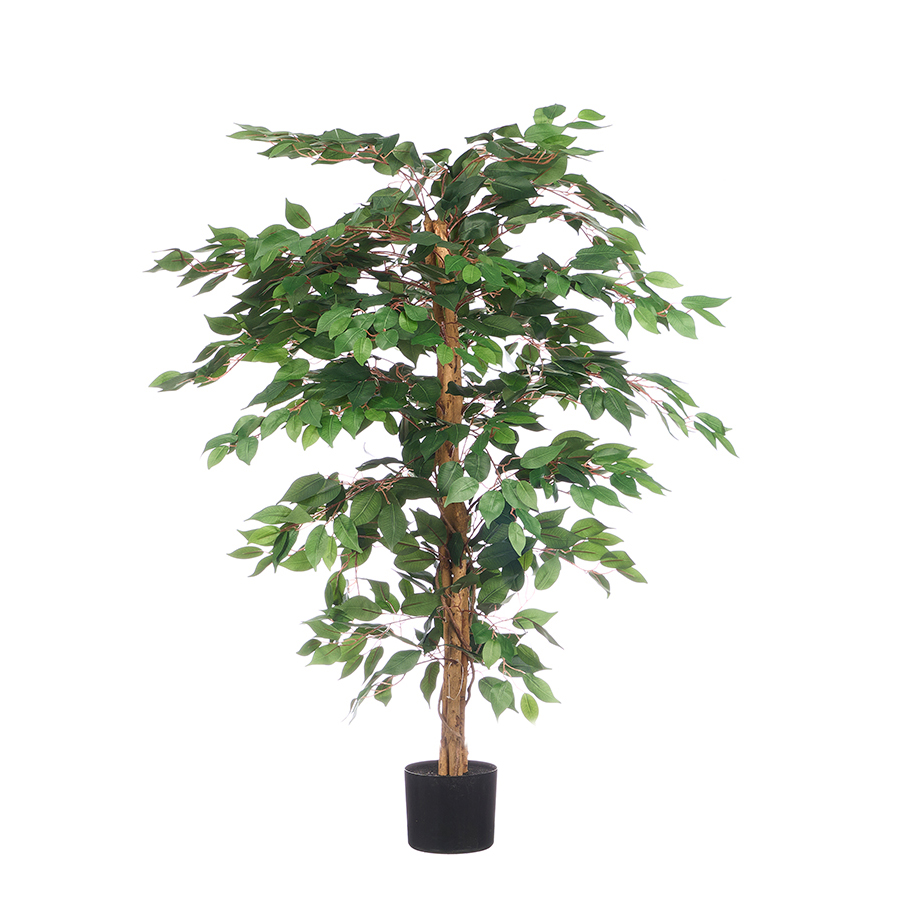 Dekoratyvinis augalas Fikusas 120 cm Ibergarden 13363