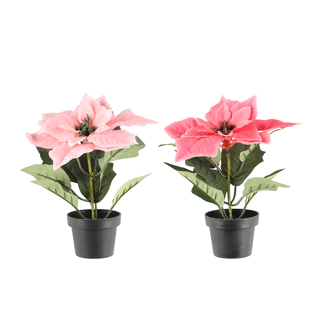Gelė dirbtinė puansetija 20 cm (2 spalvų) 4Living 620774